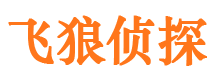 金牛市侦探调查公司